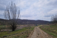 20260320_172434_1024x768