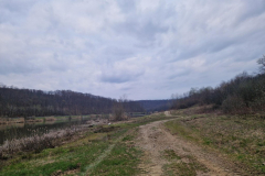 20260320_172507_1024x768