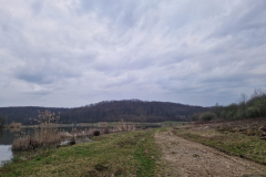 20260320_172810_1024x768