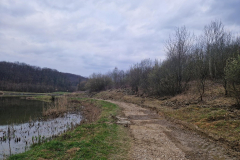 20260320_172954_1024x768