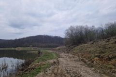 20260320_173016_1024x768