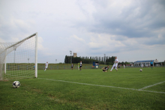 IMG_3131_1024x683