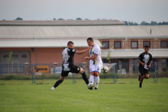 IMG_3143_1024x683