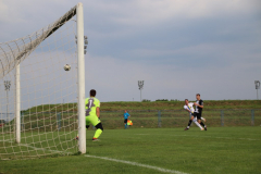 IMG_3152_1024x683