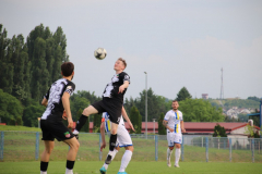 IMG_3161_1024x683