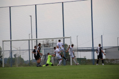 IMG_3203_1024x683