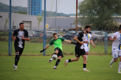 IMG_3225_1024x683