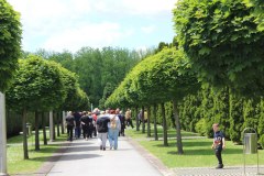 IMG-67e3acd4a4771e1d99ba67be08e59426-V_1024x683