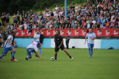 IMG_2133_1024x683