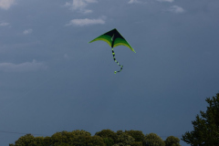 IMG_0027_1024x607