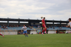 IMG_2522_1024x683