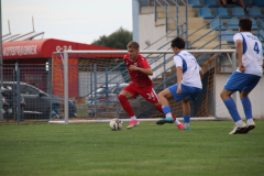 IMG_2527_1024x683