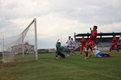 IMG_2597_1024x683
