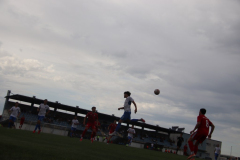 IMG_2645_1024x683