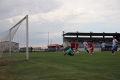 IMG_2655_1024x683