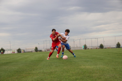 IMG_2685_1024x683