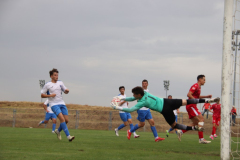 IMG_2695_1024x683