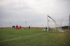 IMG_2710_1024x683