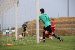 IMG_2834_1024x683