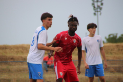 IMG_2854_1024x683