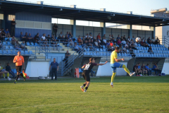 DSC_0010_1024x683