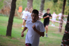 IMG_6995_1024x683