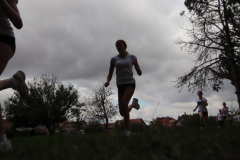 IMG_7002_1024x683