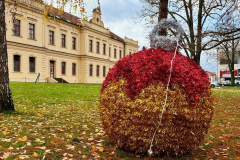 viber_image_2025-11-26_14-13-41-538