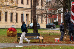 viber_image_2025-11-26_14-13-42-493