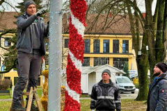 viber_image_2025-11-26_14-14-10-899