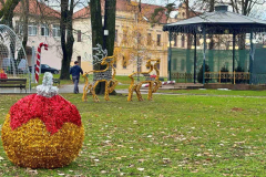 viber_image_2025-11-26_14-22-13-372