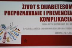 IMG_3351_cr_1024x513