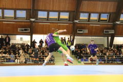 IMG_0117_1024x683