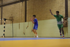 IMG_9918_1024x683