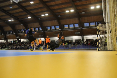 IMG_9938_1024x683
