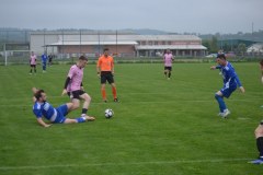 DSC_0272_1024x683