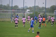 DSC_0290_1024x683