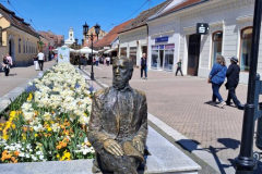 viber_slika_2026-04-26_17-18-24-863_576x768