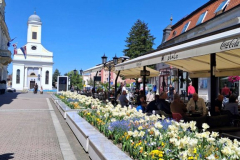 viber_slika_2026-04-26_17-18-26-180_576x768