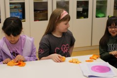 IMG_9374_1024x564
