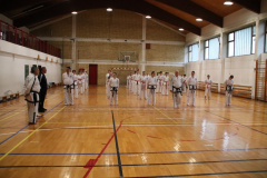 IMG_3294_1024x683
