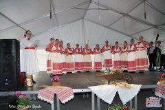 IMG-b464ce9584e0dec6c71232c35abfe6d3-V_1024x682