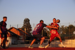 IMG_7882_1024x683