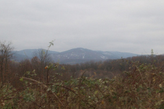 viber_slika_2025-11-27_13-23-16-882_1024x636