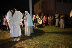 IMG_7422_1024x683
