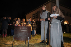 IMG_7431_1024x683