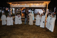 IMG_7463_1024x683