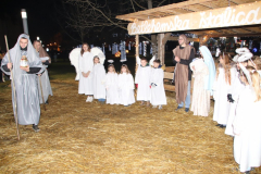 IMG_7469_1024x683