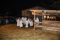 IMG_7487_1024x683