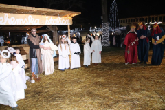 IMG_7501_1024x683
